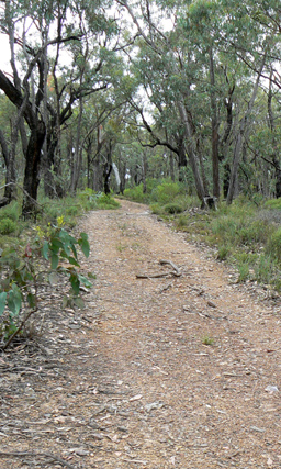  - Airly Creek Trail